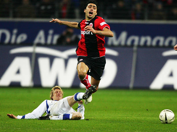 会都将对两 会都将对两