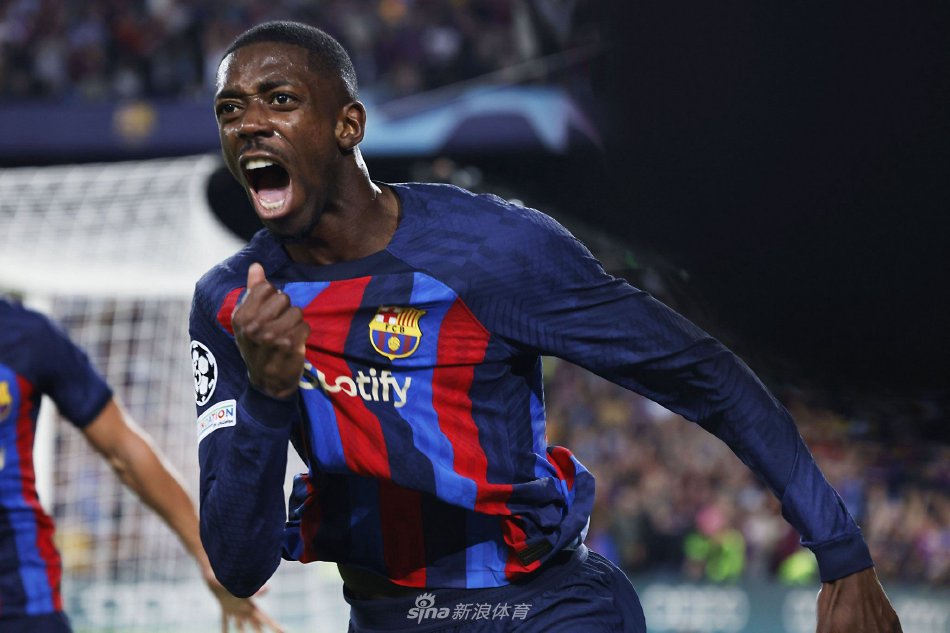 的体能训练 的体能训练